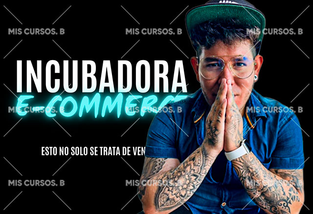 Incubadora E-Commerce de Fabian Hernandez 2 incubadora-e-commerce-de-fabian-hernandez_64254c62264b8