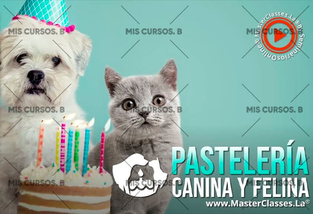 Pastelería Canina y Felina 9 pasteleria-canina-y-felina_64254d4dd1bc5