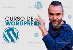 Curso de WordPress de Big Seo