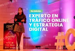 Experto en tráfico online y estrategia digital de Ana Ivars