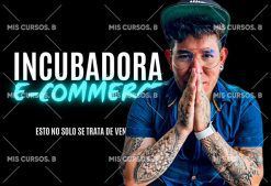 Incubadora E-Commerce de Fabian Hernandez