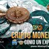 Invierte En Cripto Monedas Como Un Experto