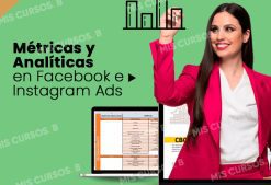 Métricas y Analíticas en Facebook e Instagram Ads de Ana Ivars
