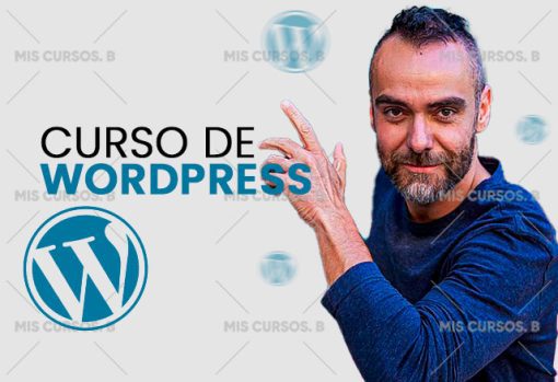 curso de wordpress de big seo 651ae6ee3b444