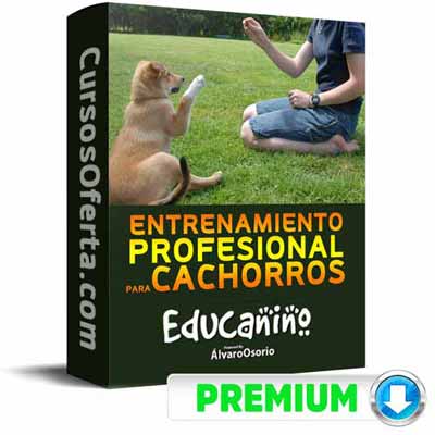 Curso Educanino – Álvaro Osorio 3 curso educanino alvaro osorio 651ae8b43175d