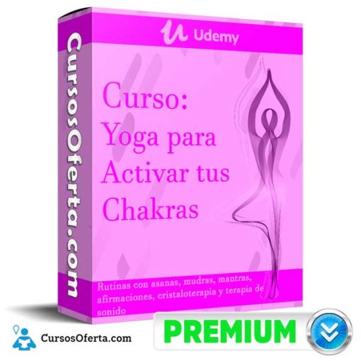 curso yoga para activar tus chakras udemy 651b0395c161f
