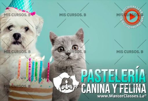 pasteleria canina y felina 651b87cce020f