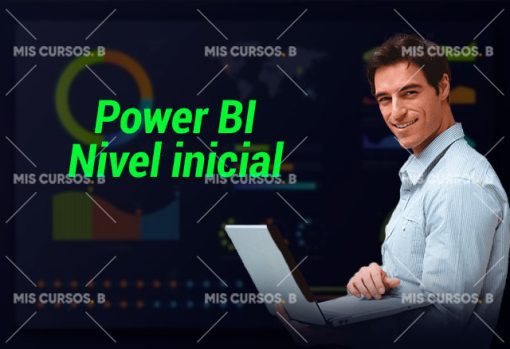 power bi nivel inicial de alejandro rubio 651b8533f2f1a