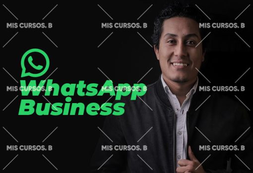 WhatsApp Business de Diego Vallejos 5 whatsapp business de diego vallejos 651b863375b41
