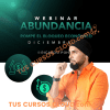Webinar Abundancia – Rompe el bloqueo economico – Ricardo Ponce