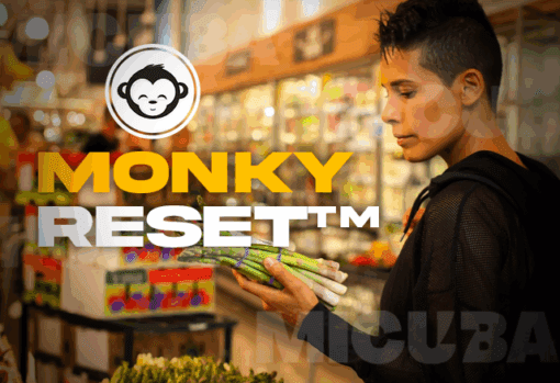 MonkyReset Transformación Integral 3 monkyreset transformacion integral 6860e7d98af0d